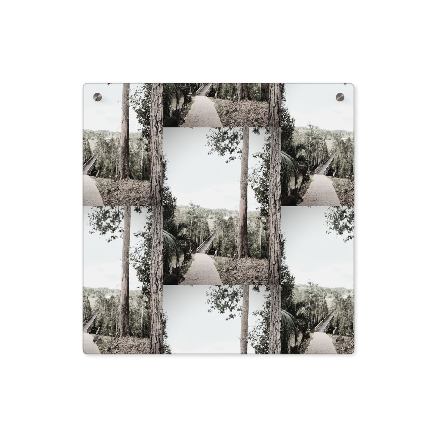 A Path Ahead Acrylic Wall Art Panels