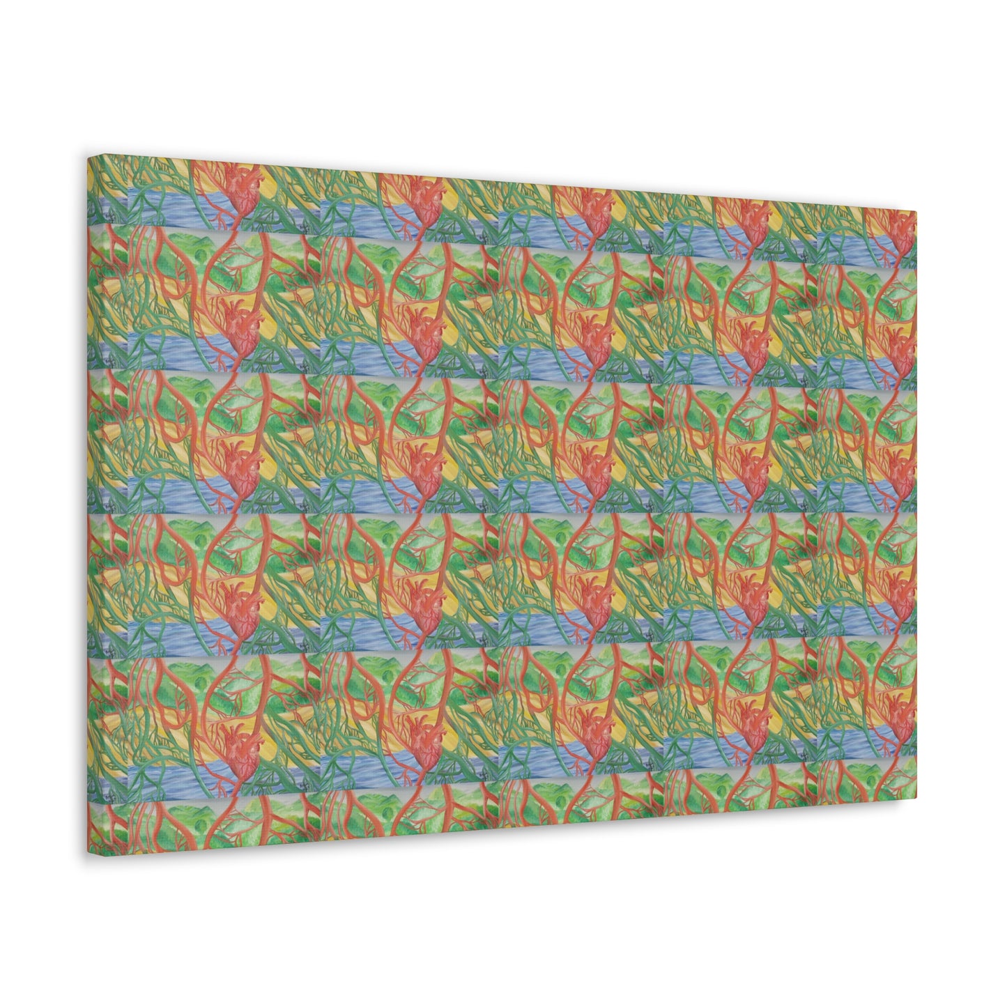 Eco Cardiology Canvas Gallery Wraps