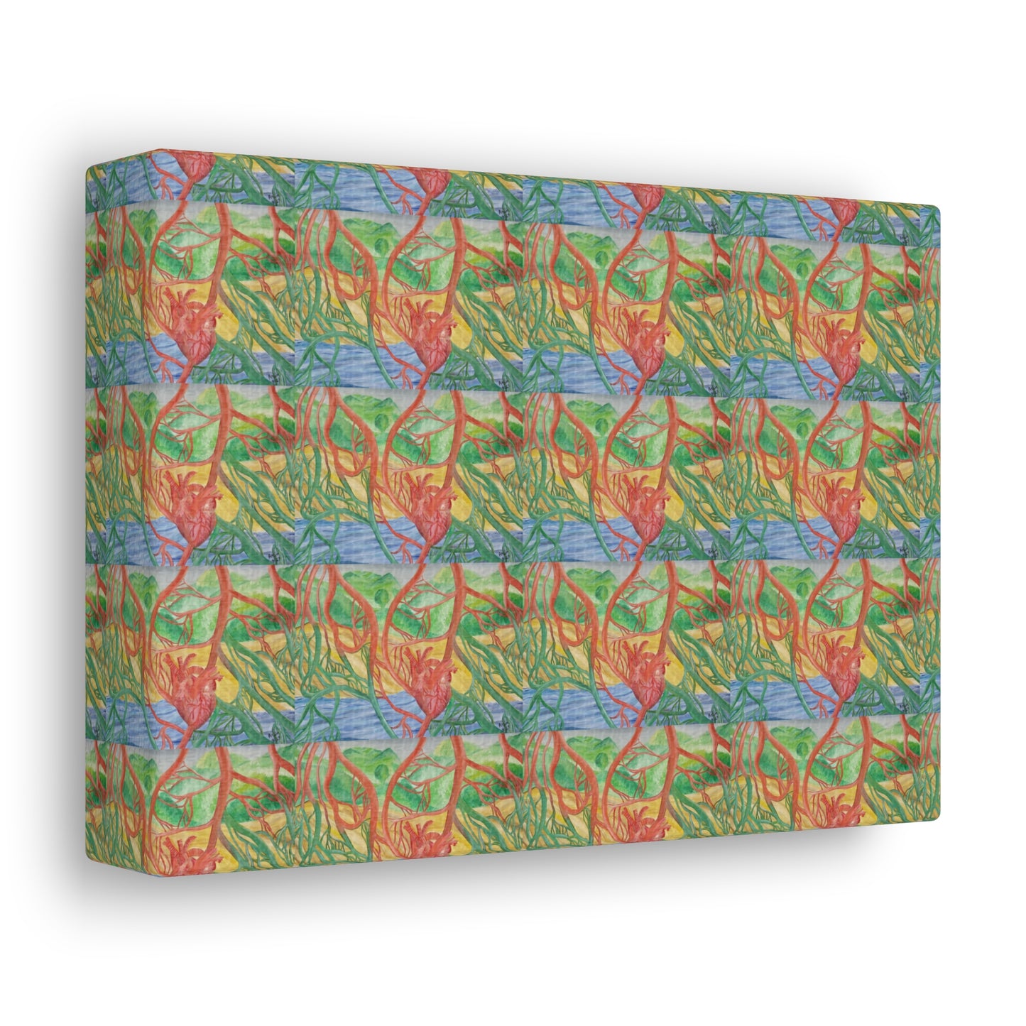 Eco Cardiology Canvas Gallery Wraps