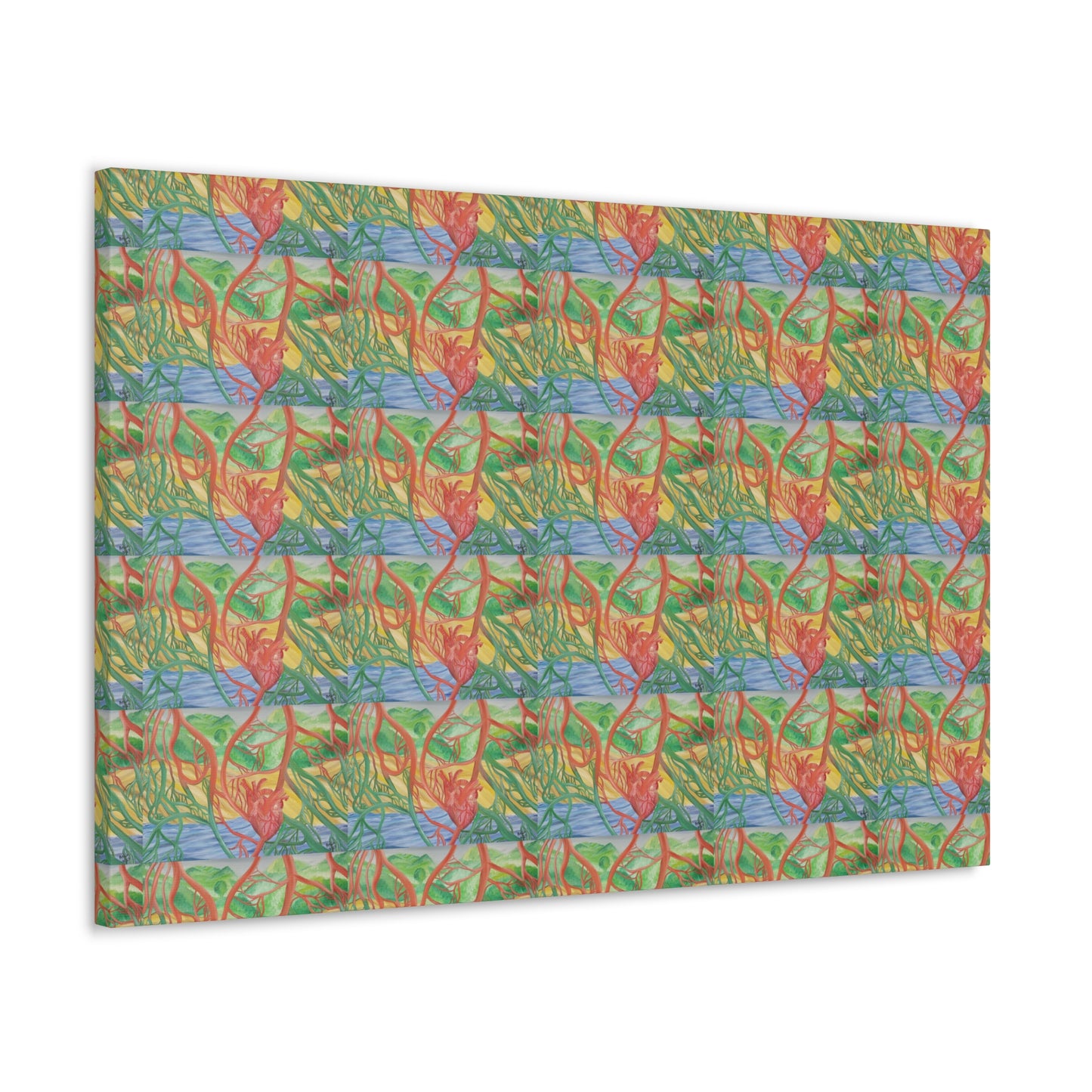 Eco Cardiology Canvas Gallery Wraps