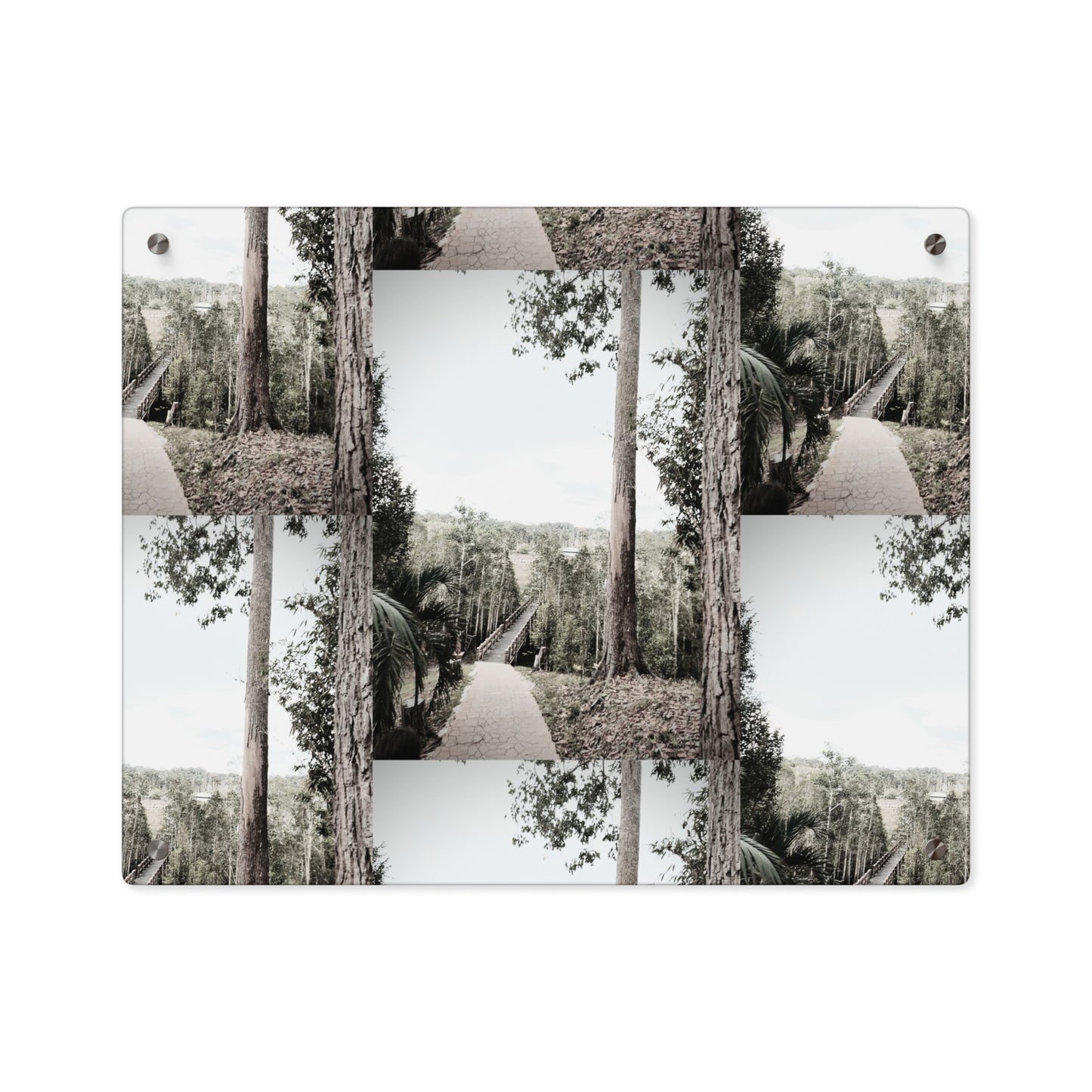 A Path Ahead Acrylic Wall Art Panels