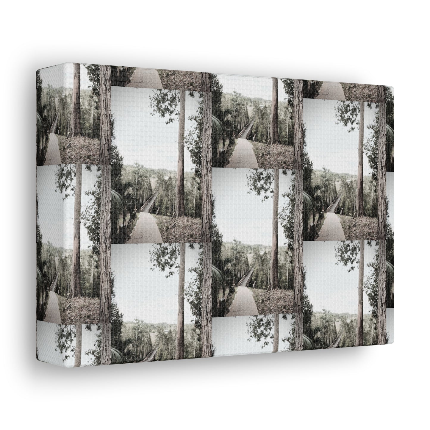 Path Ahead Canvas Gallery Wraps